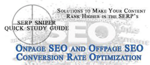 Onpage and Offpage SEO and Conversion Rate Optimization.